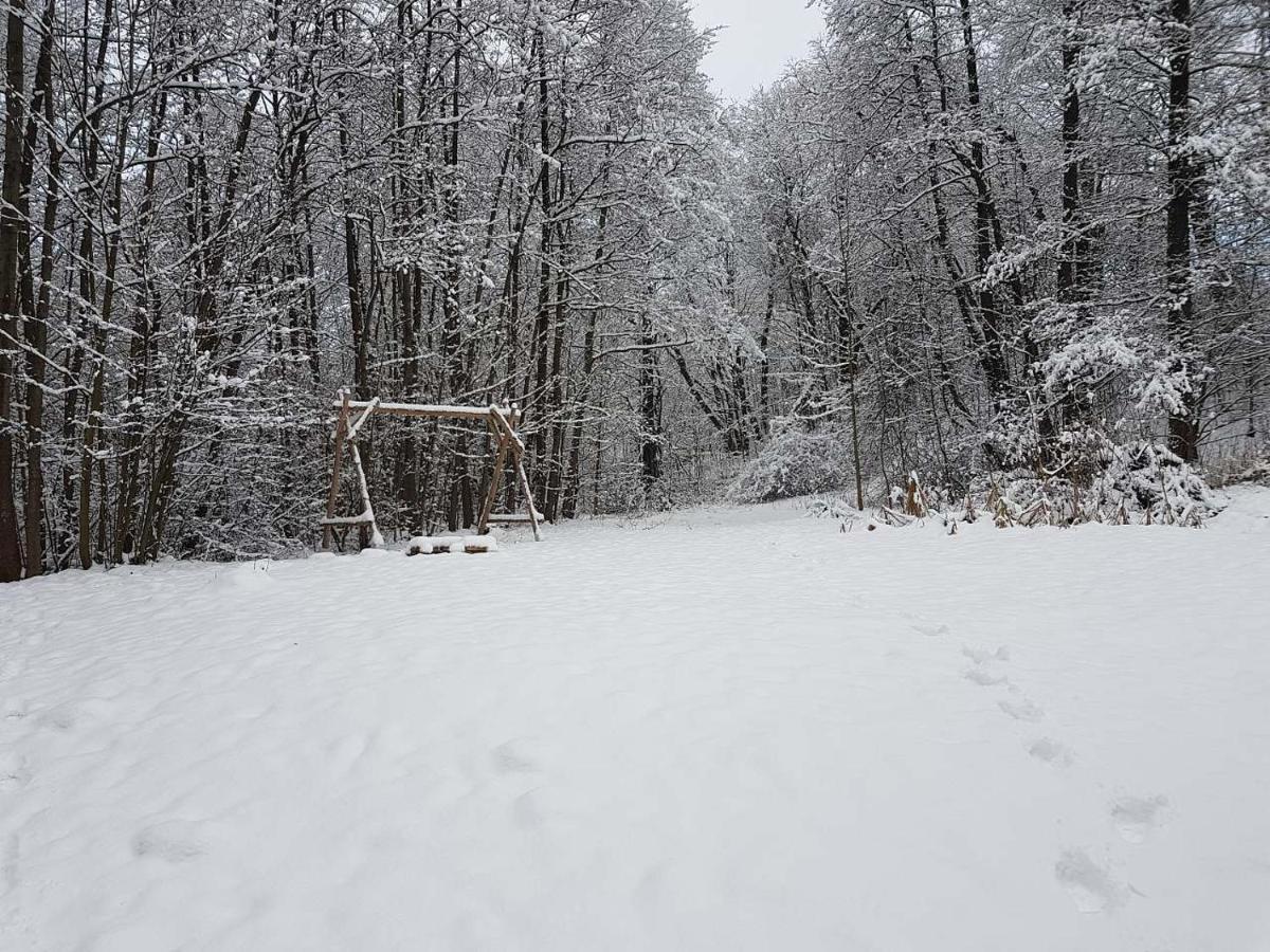 Jedlinka 37 Daire Klasterec nad Orlici Dış mekan fotoğraf